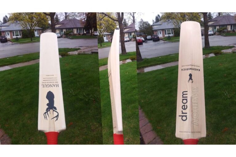 “Kashmirica: Crafting Excellence in Cricket Bats and Beyond”