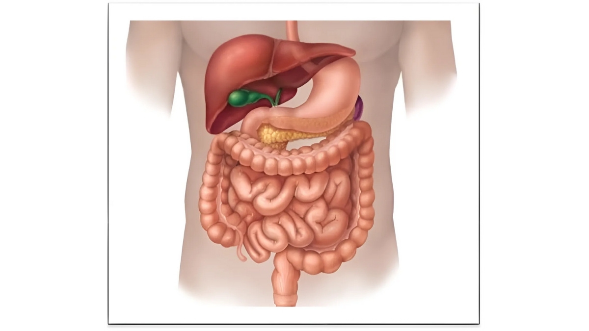 Ayurvedic 