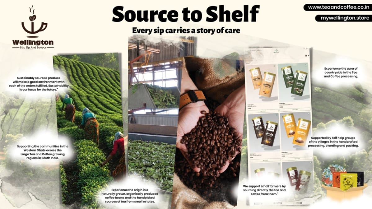 A Tea and Coffee Transformation Story from Wellington