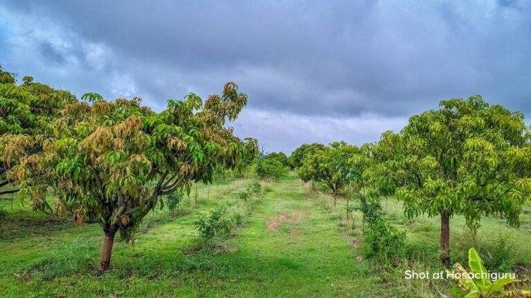 India’s Next Conservation Movement Is Already Taking Shape